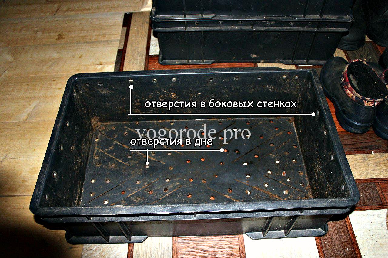 Сделать ящики для разведения червей своими руками Сделать ящики для разведения червей своими руками