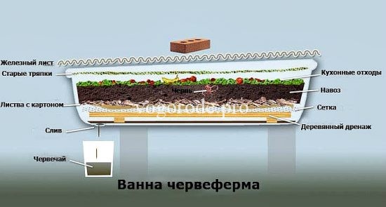 Червячная ферма своими руками Червячная ферма своими руками
